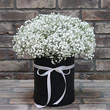 Цветочная композиция из Гипсофила в шляпной коробке в Юсьва