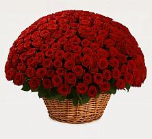 Премиум букет из: Розы в Юсьва